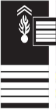 Insigne de colonel (exemple)